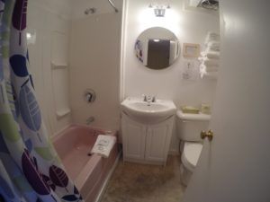 Bathroom in room 11 at Jasper Way Inn in Clearwater